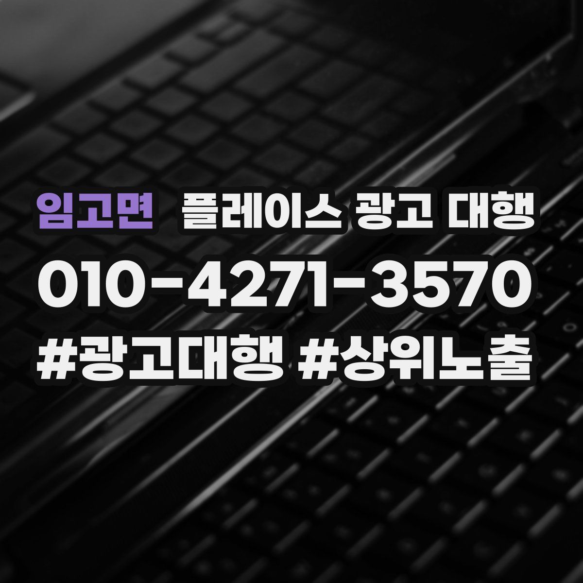 임고면 플레이스 광고 대행