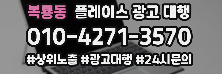 복룡동 플레이스 광고 대행