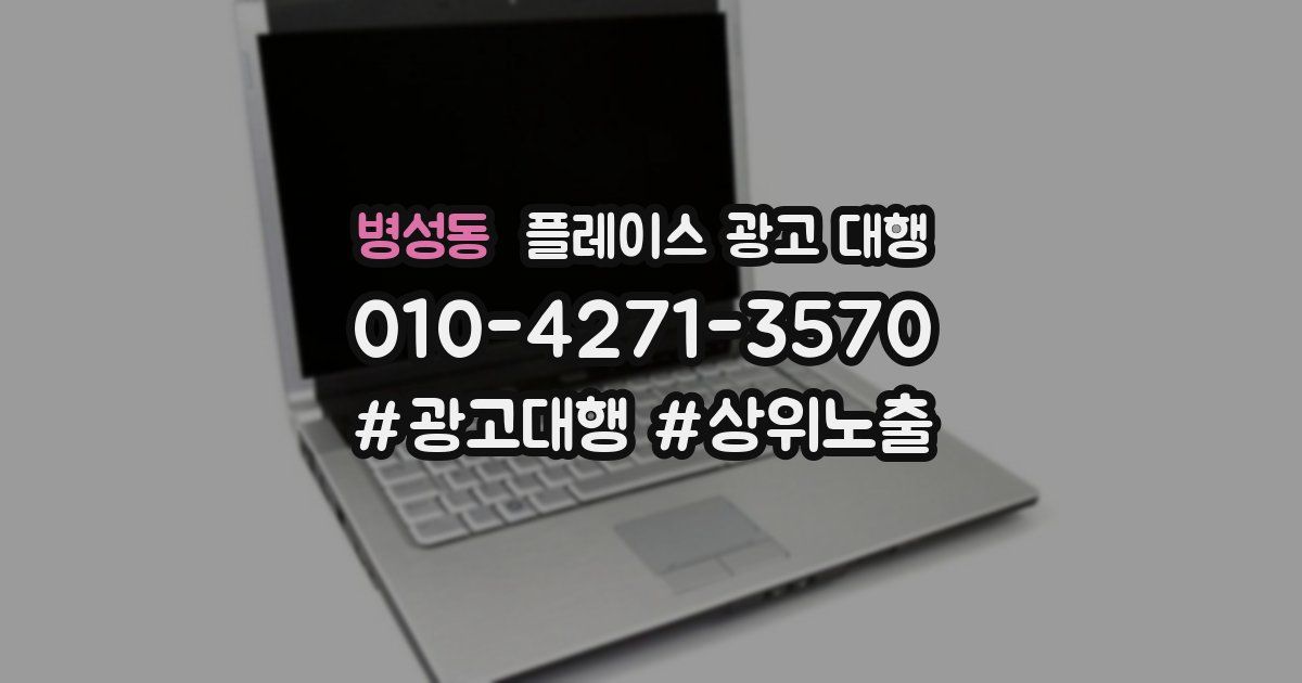 병성동 플레이스 광고 대행