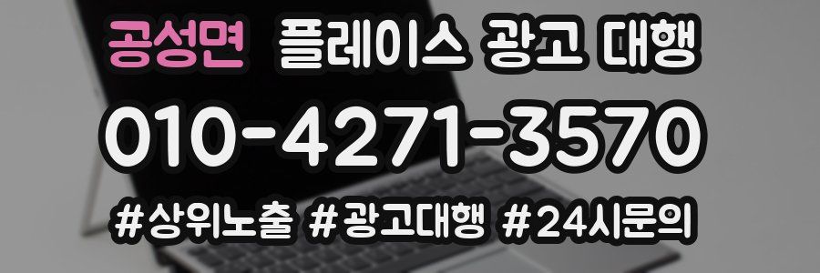 공성면 플레이스 광고 대행