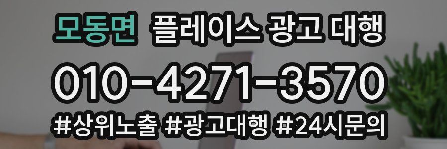모동면 플레이스 광고 대행