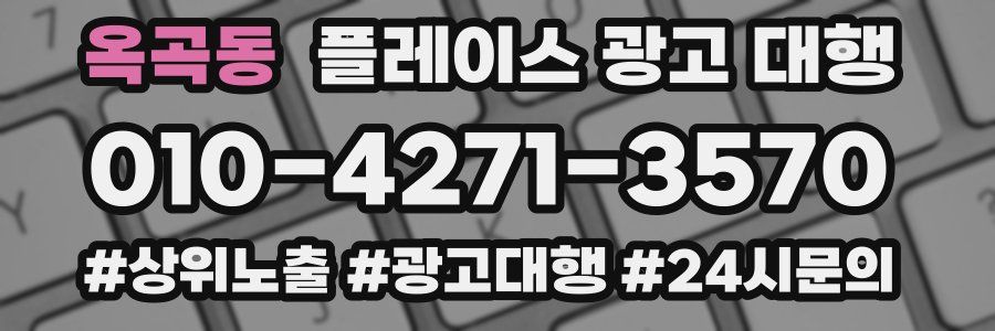 옥곡동 플레이스 광고 대행