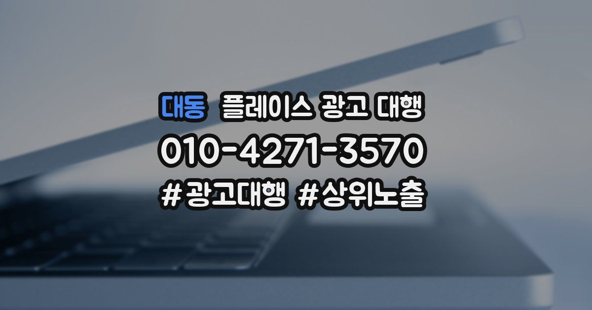 대동 플레이스 광고 대행