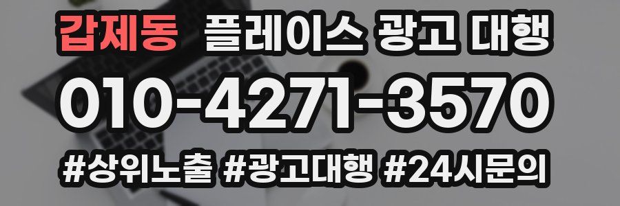 갑제동 플레이스 광고 대행