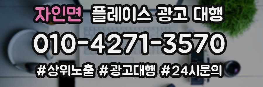 자인면 플레이스 광고 대행
