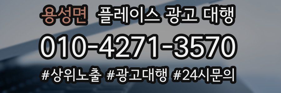 용성면 플레이스 광고 대행