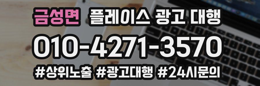 금성면 플레이스 광고 대행
