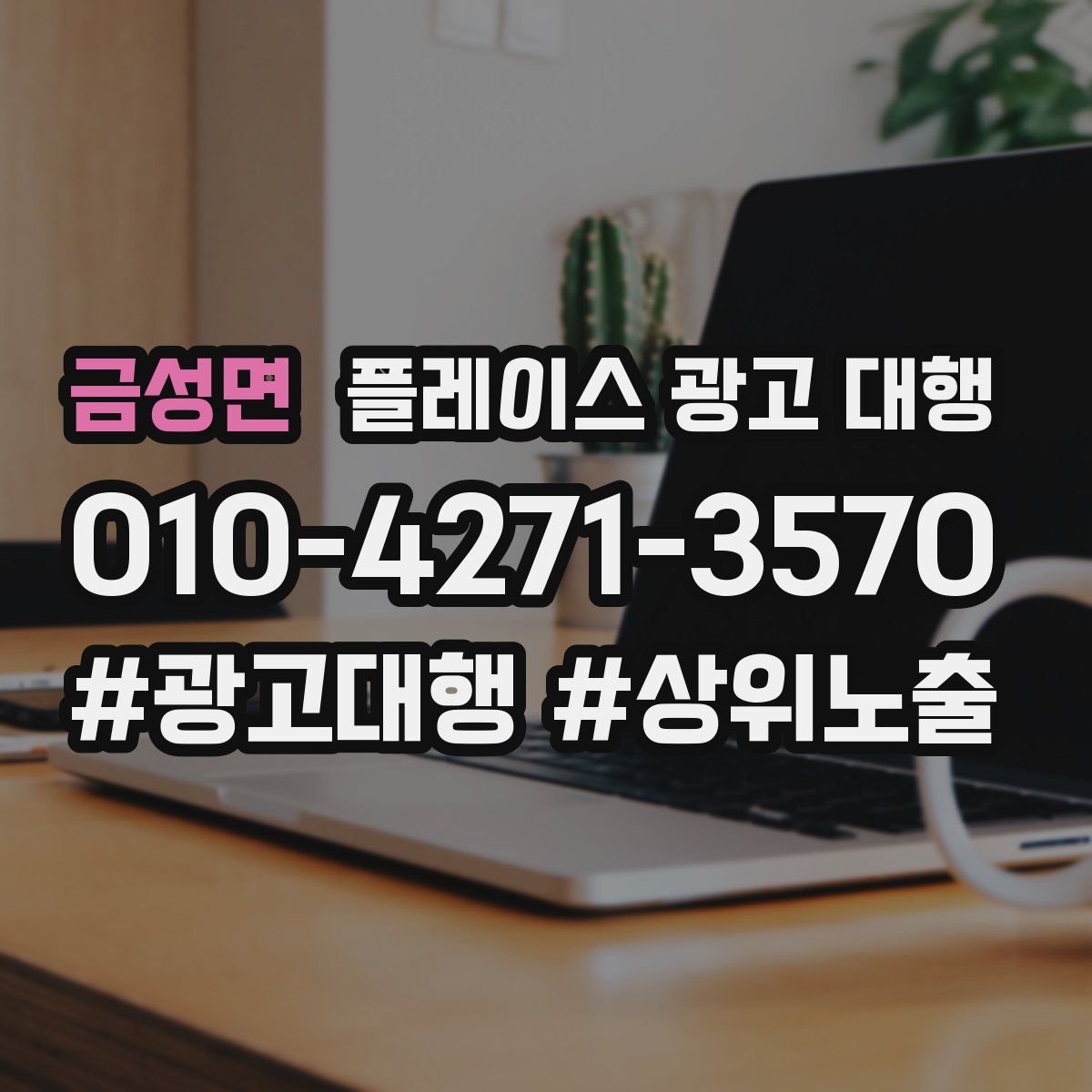 금성면 플레이스 광고 대행