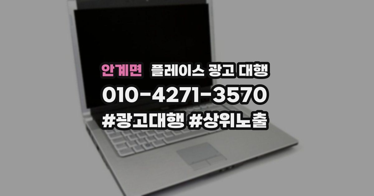 안계면 플레이스 광고 대행