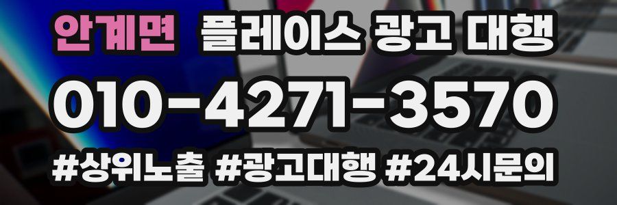 안계면 플레이스 광고 대행
