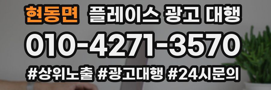 현동면 플레이스 광고 대행