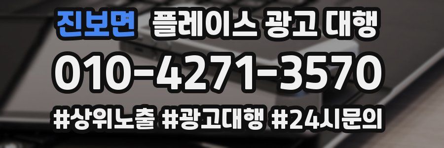 진보면 플레이스 광고 대행