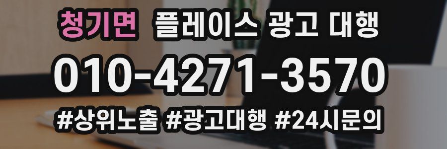 청기면 플레이스 광고 대행