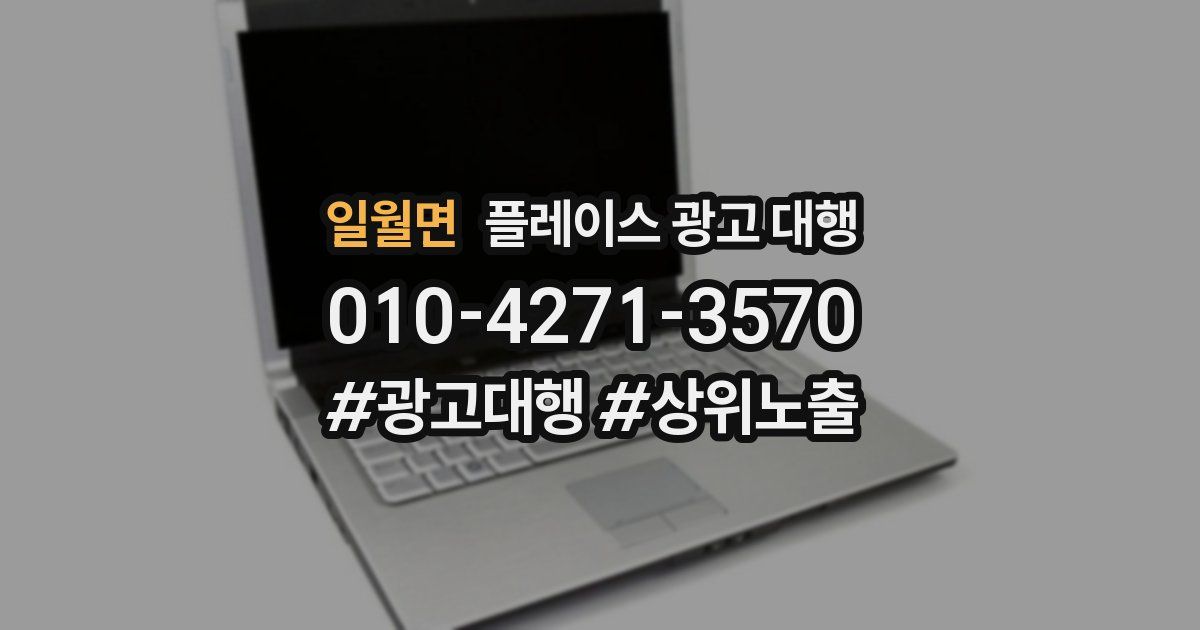 일월면 플레이스 광고 대행