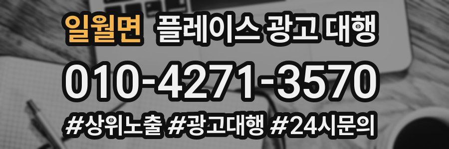 일월면 플레이스 광고 대행