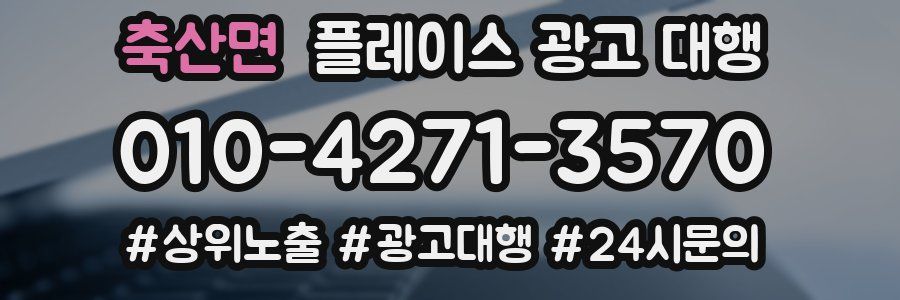 축산면 플레이스 광고 대행