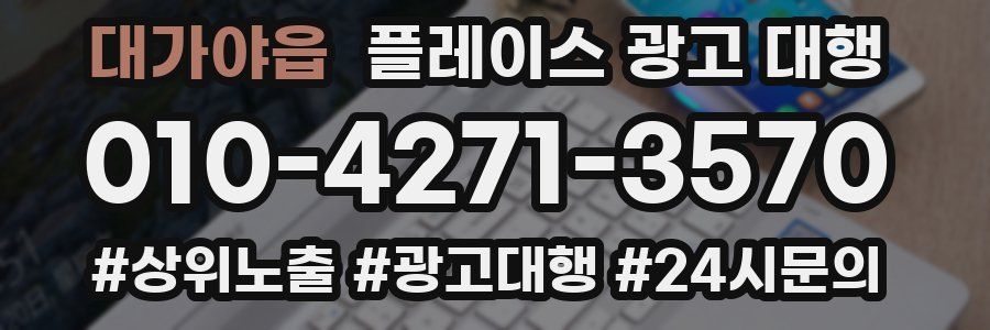 대가야읍 플레이스 광고 대행