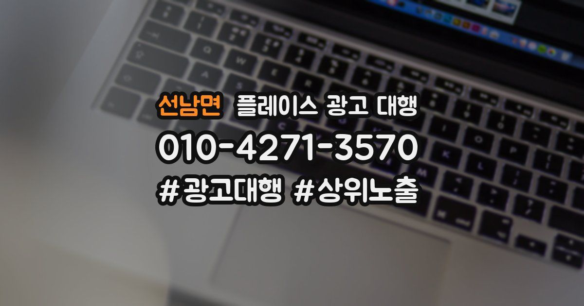 선남면 플레이스 광고 대행