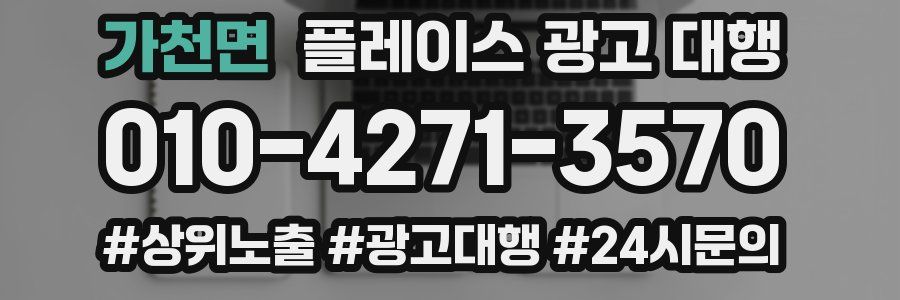 가천면 플레이스 광고 대행