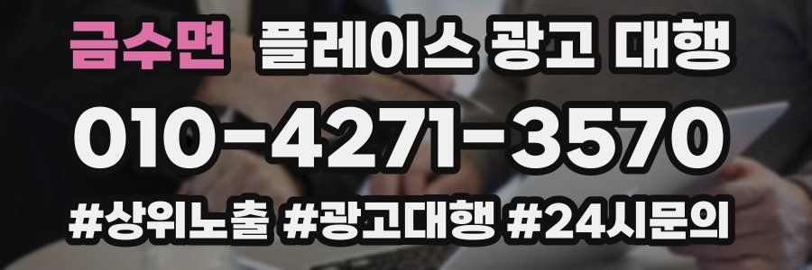 금수면 플레이스 광고 대행