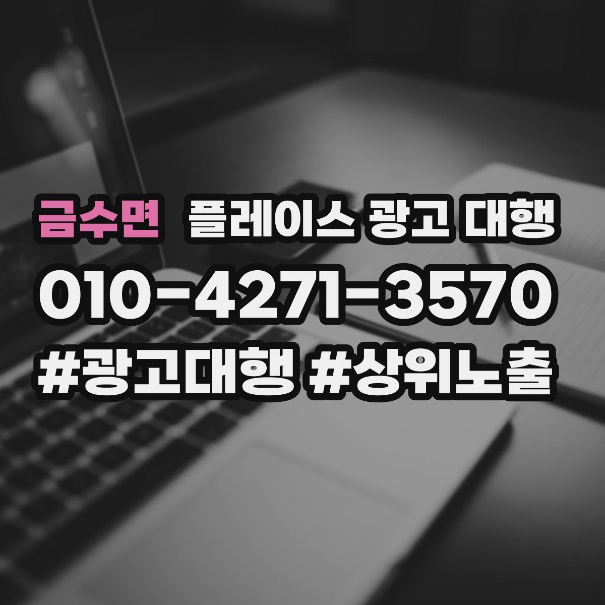 금수면 플레이스 광고 대행