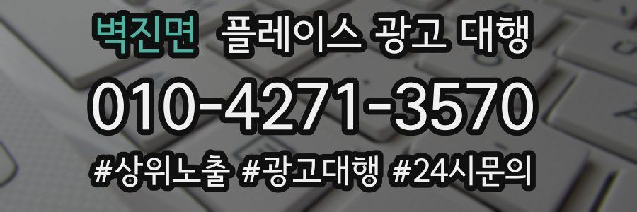 벽진면 플레이스 광고 대행