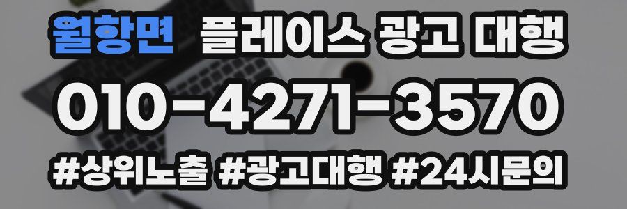 월항면 플레이스 광고 대행