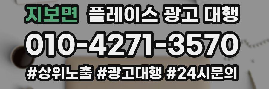 지보면 플레이스 광고 대행