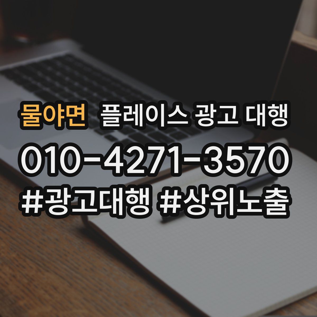 물야면 플레이스 광고 대행