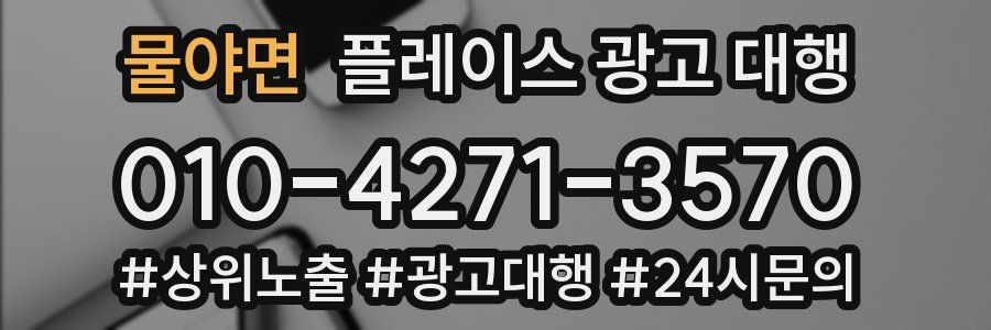 물야면 플레이스 광고 대행