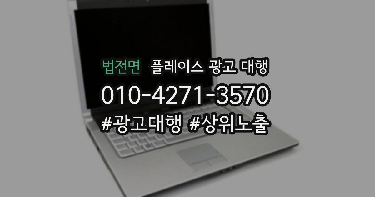 법전면 플레이스 광고 대행