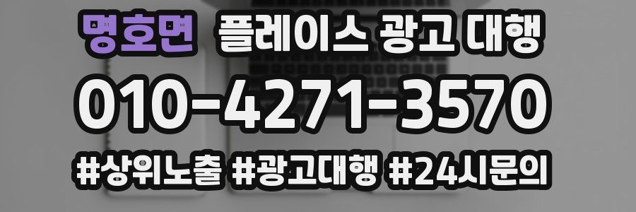 명호면 플레이스 광고 대행