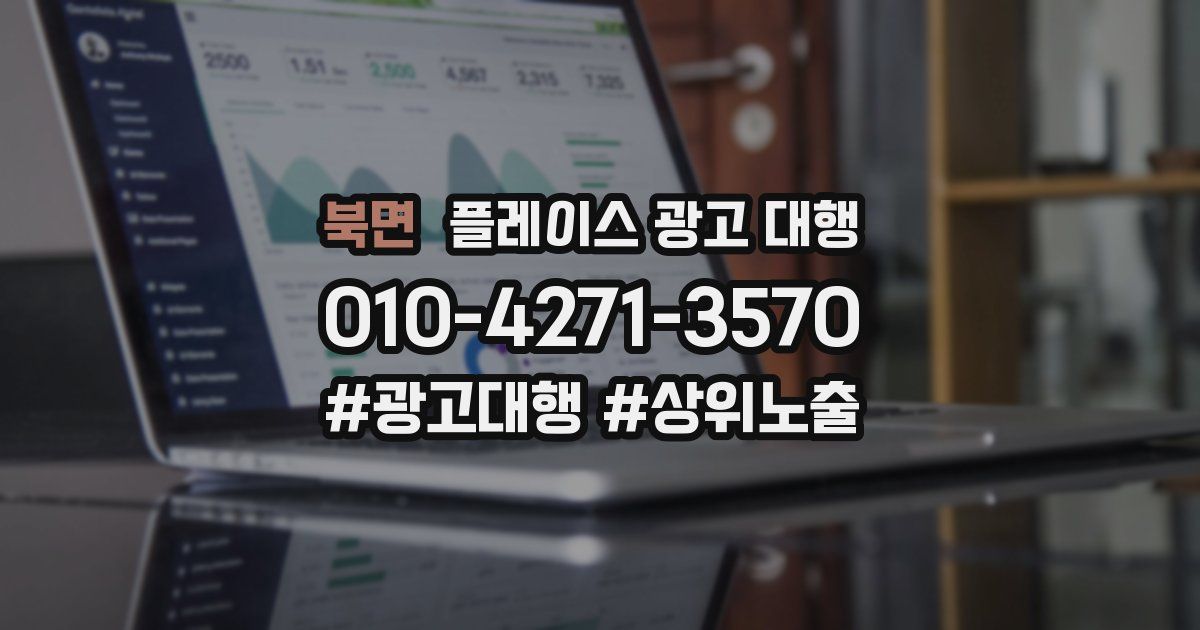 북면 플레이스 광고 대행