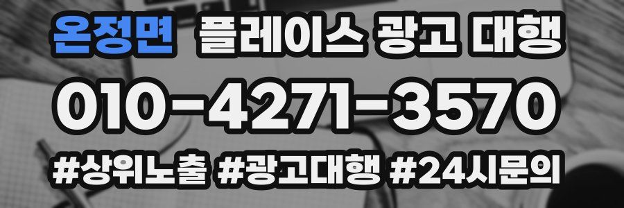 온정면 플레이스 광고 대행