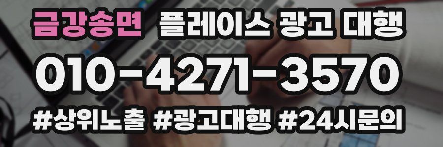 금강송면 플레이스 광고 대행