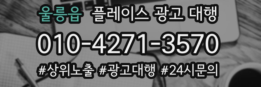 울릉읍 플레이스 광고 대행