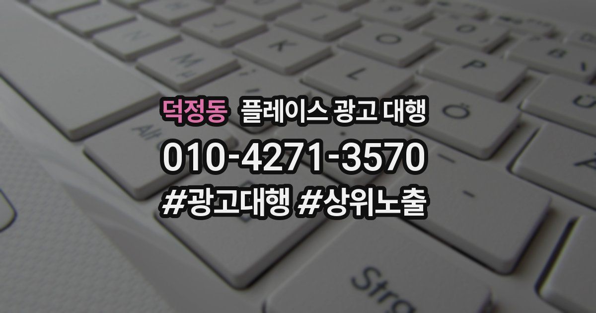 덕정동 플레이스 광고 대행