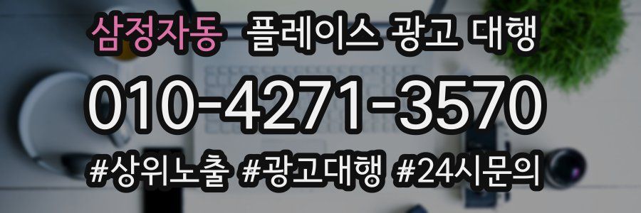 삼정자동 플레이스 광고 대행
