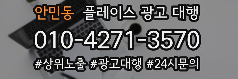 안민동 플레이스 광고 대행