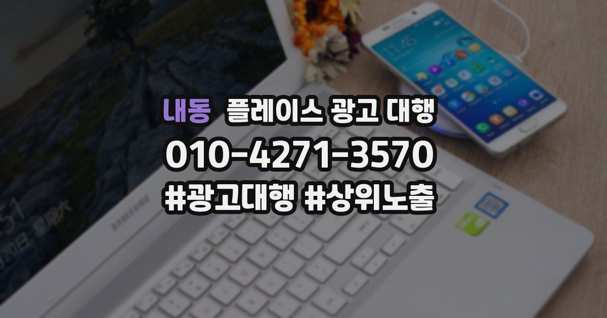 내동 플레이스 광고 대행