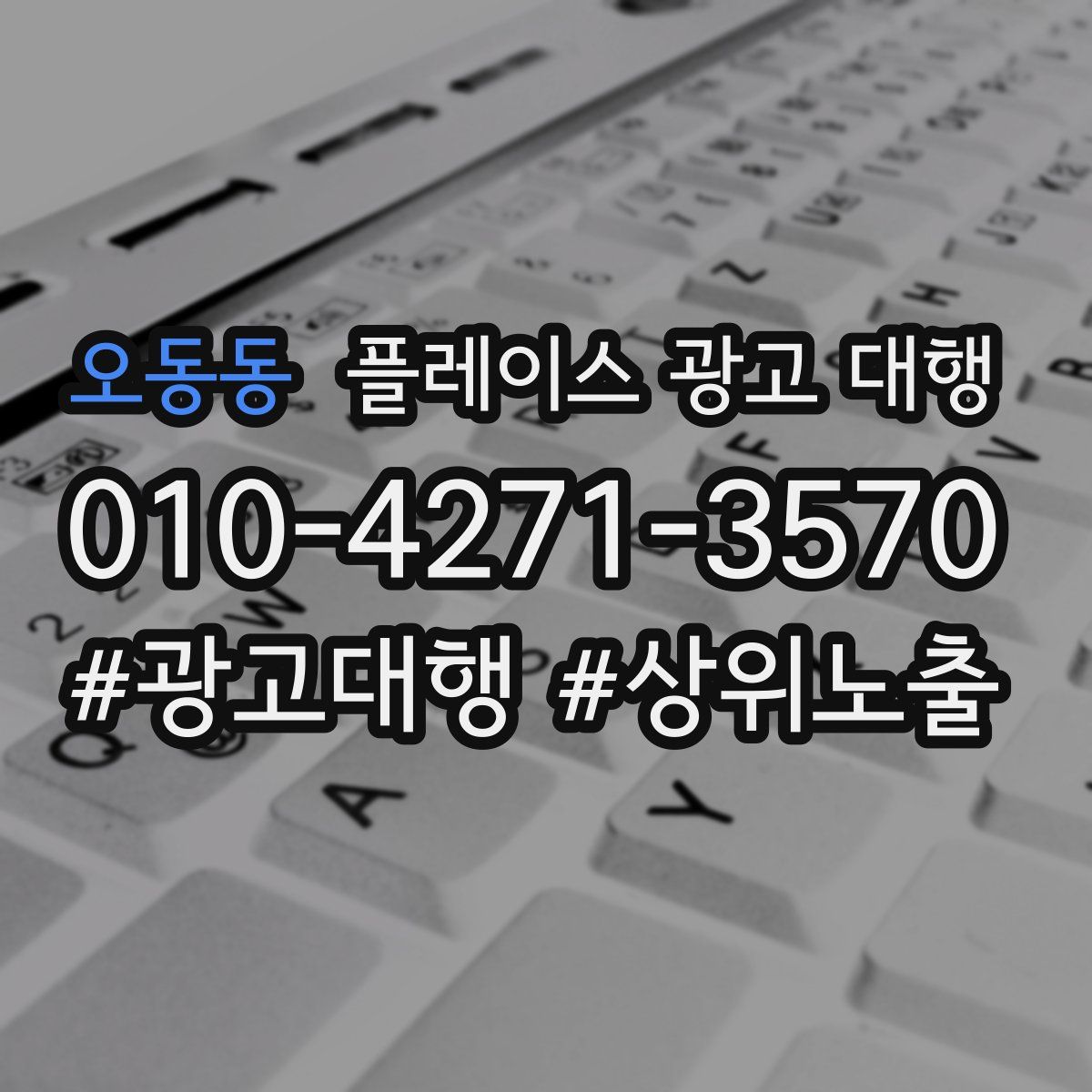 오동동 플레이스 광고 대행