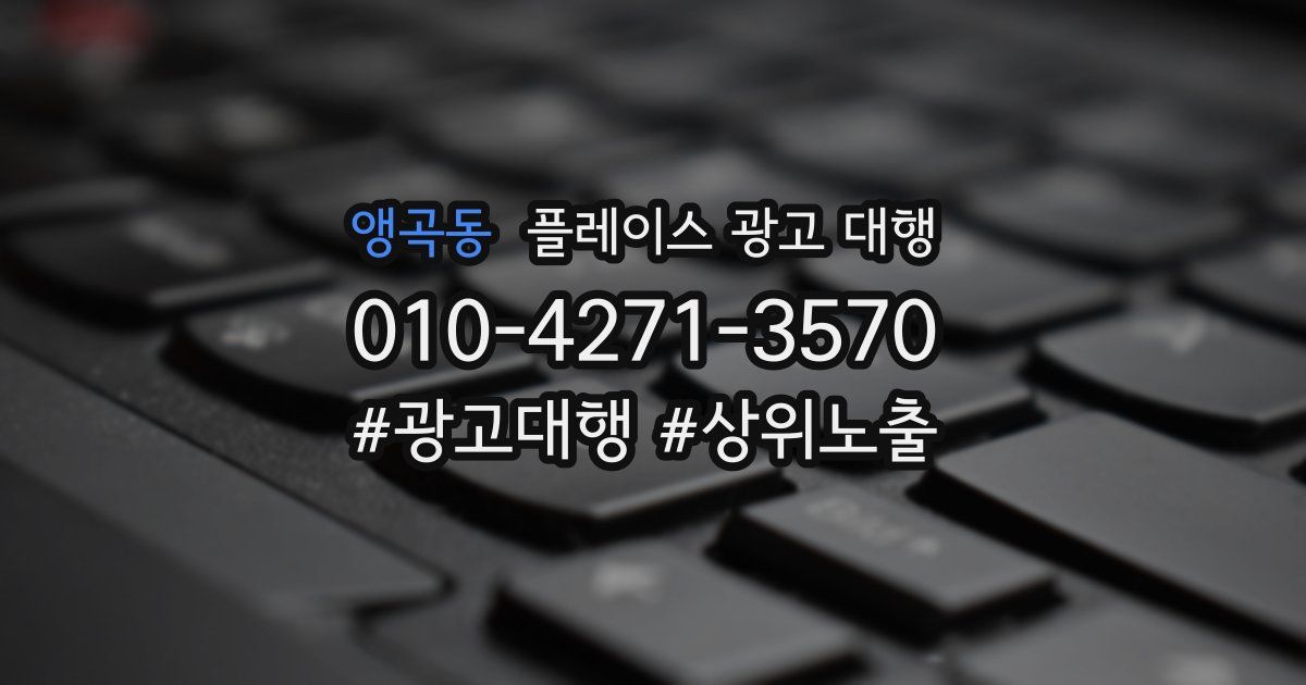 앵곡동 플레이스 광고 대행