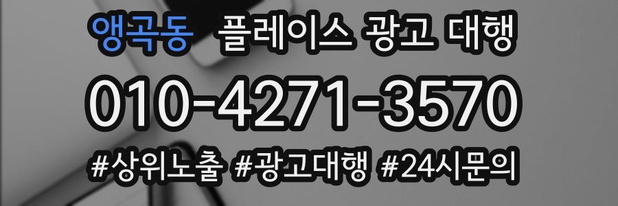 앵곡동 플레이스 광고 대행