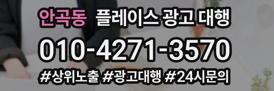 안곡동 플레이스 광고 대행