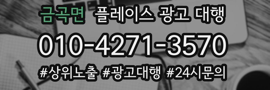 금곡면 플레이스 광고 대행