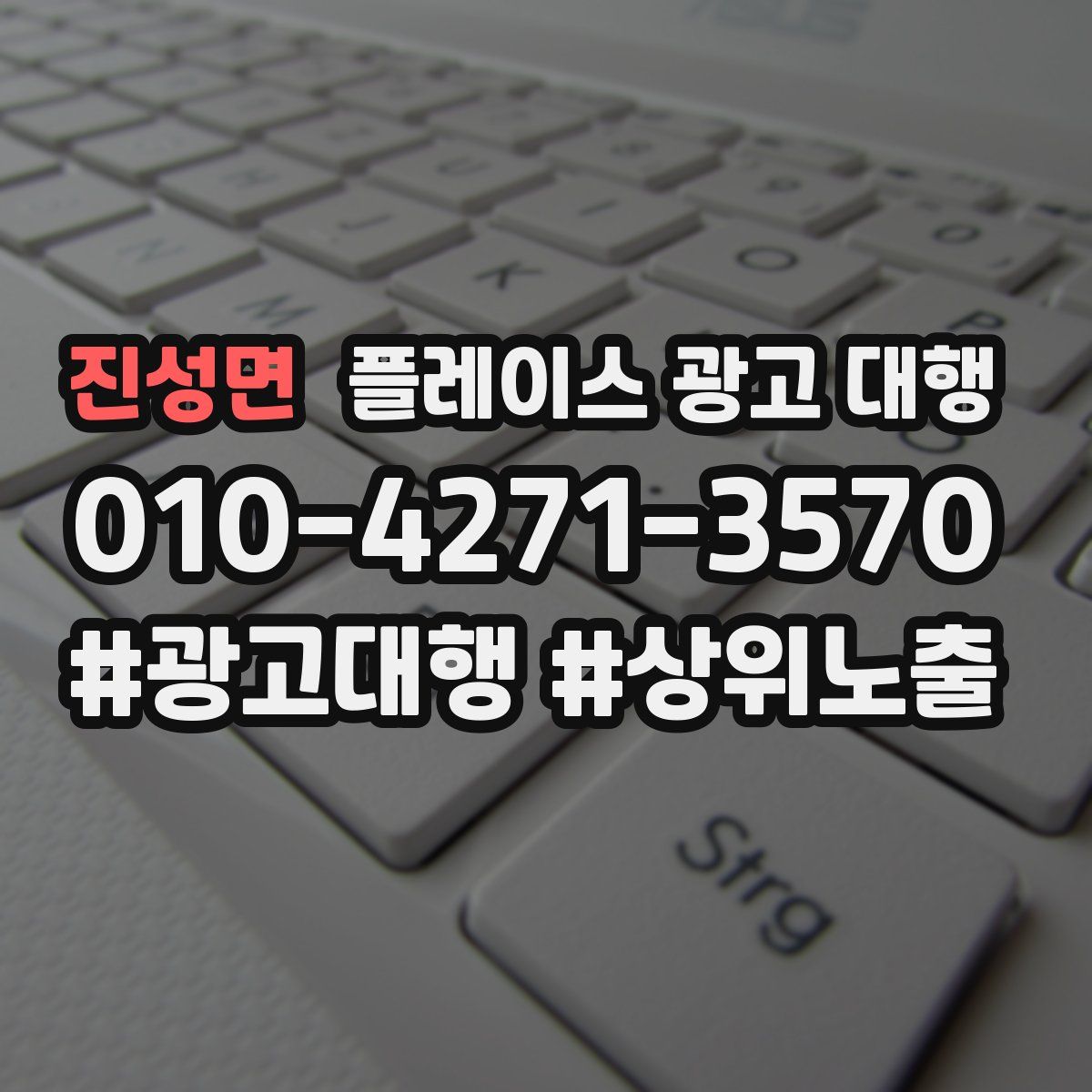 진성면 플레이스 광고 대행