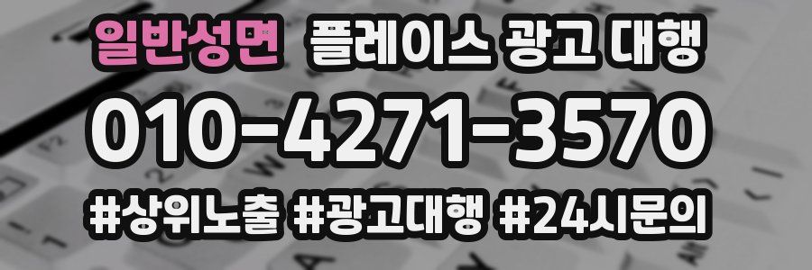 일반성면 플레이스 광고 대행