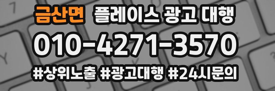 금산면 플레이스 광고 대행