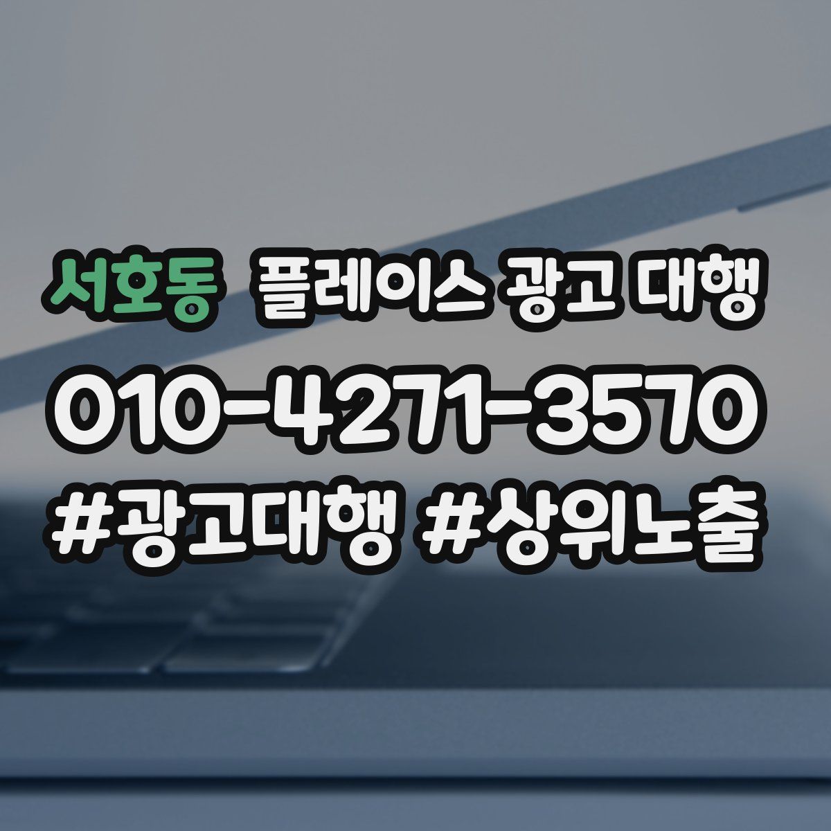서호동 플레이스 광고 대행
