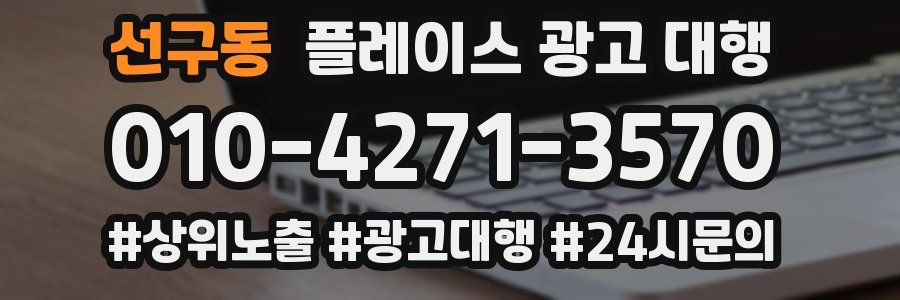 선구동 플레이스 광고 대행